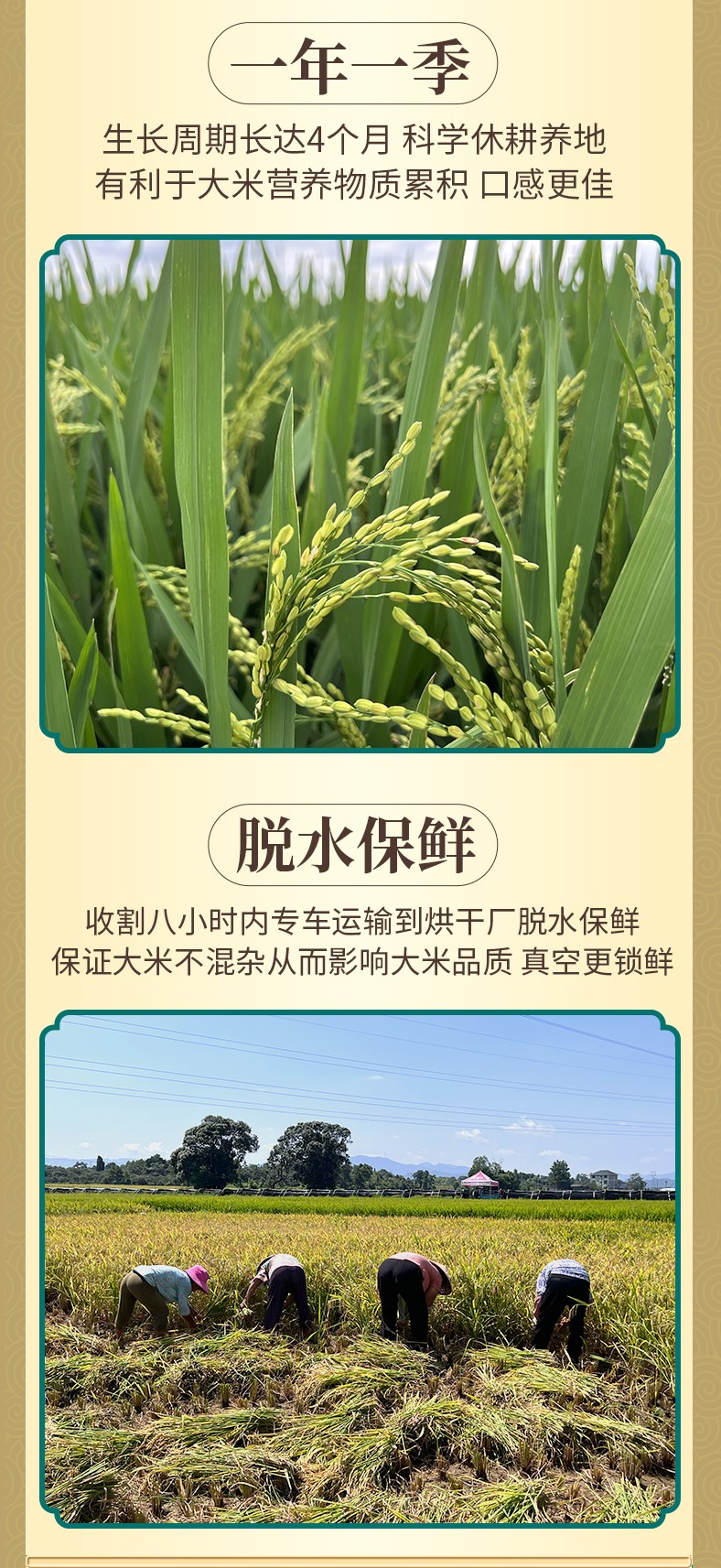 和万安|生态农业|有机食物|绿色食物|稻田共养
