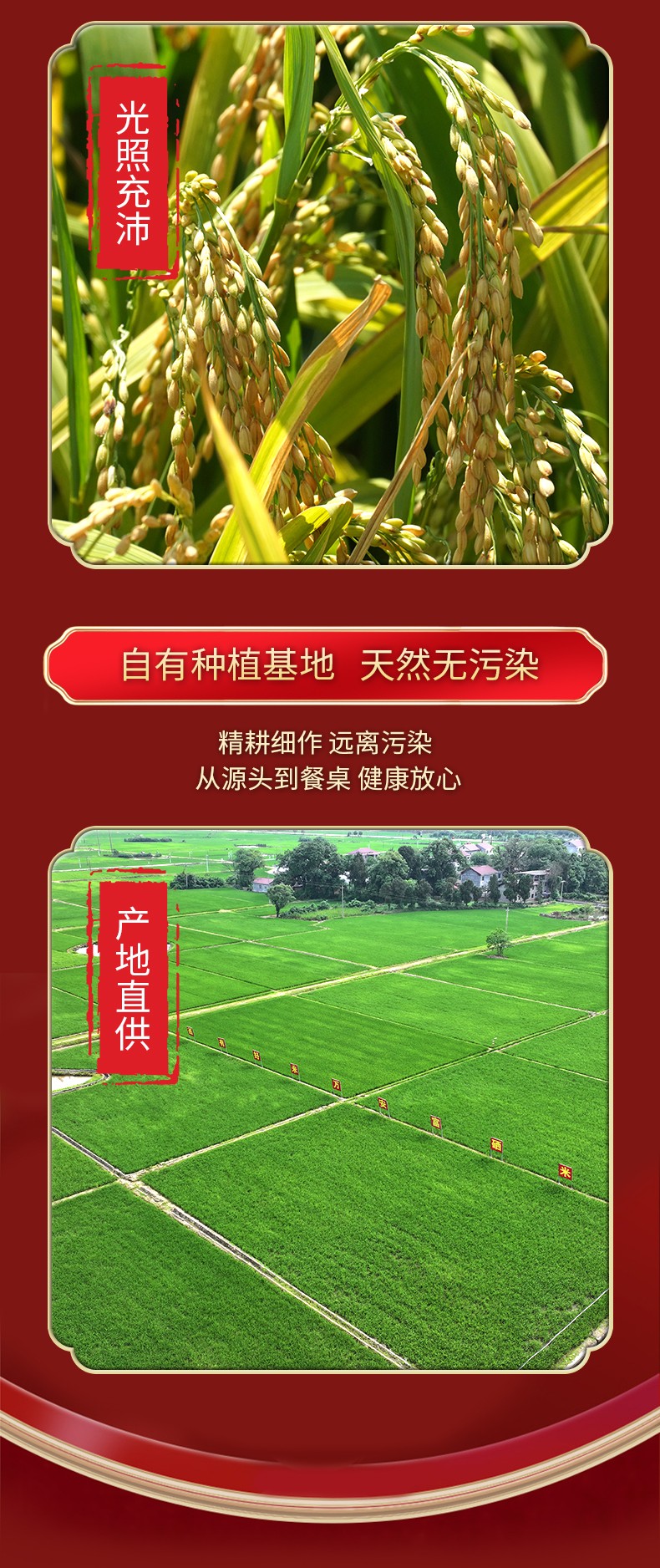和万安|生态农业|有机食物|绿色食物|稻田共养