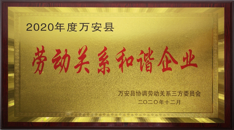 2020年度劳动关系协调企业