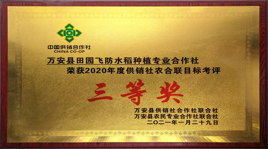 2020年度供销社农合联目的考评三等奖